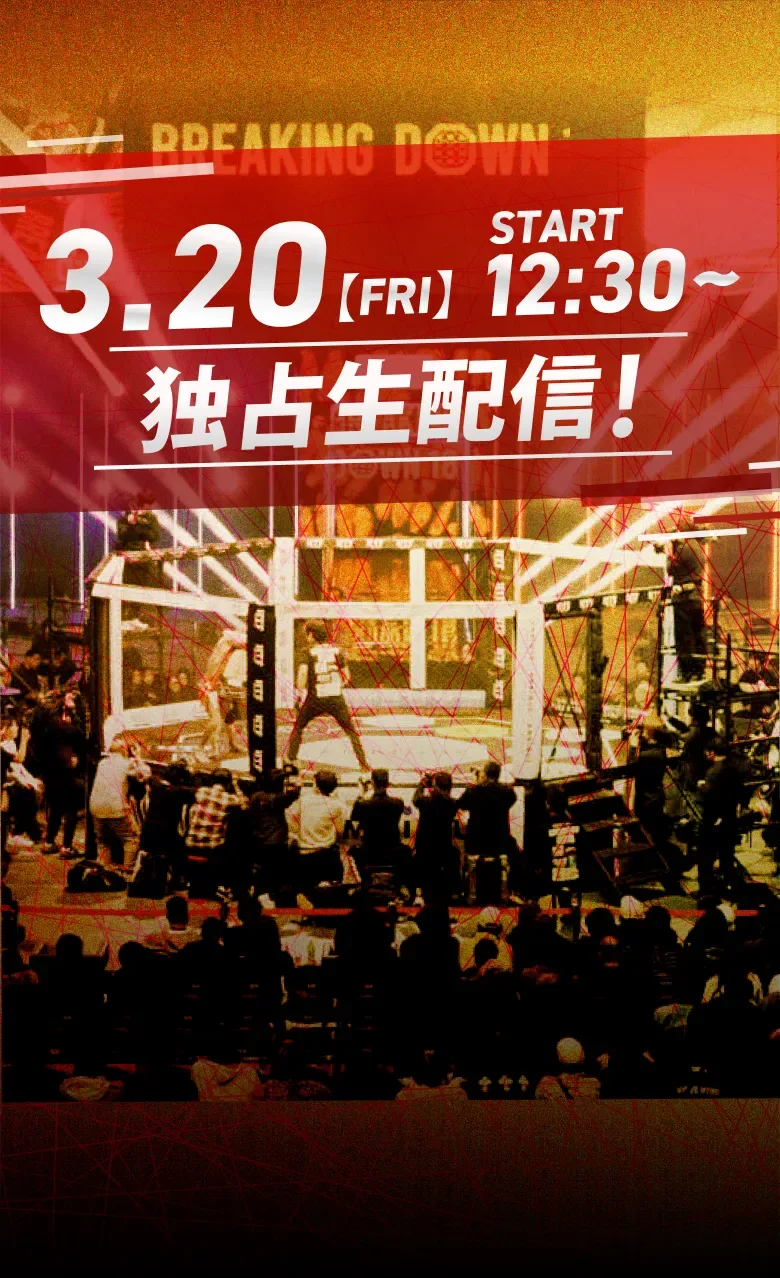 BreakingDown 19
